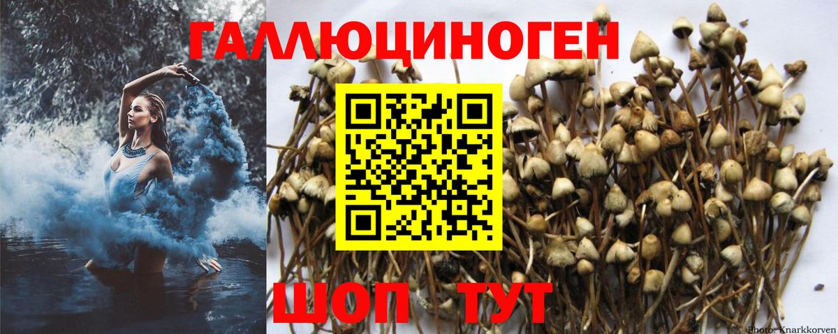 Псилоцибиновые грибы MAGIC MUSHROOMS Шебекино