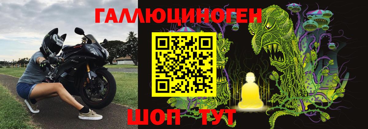 Шебекино  Галлюциногенные грибы прущие грибы  Вход с VPN 