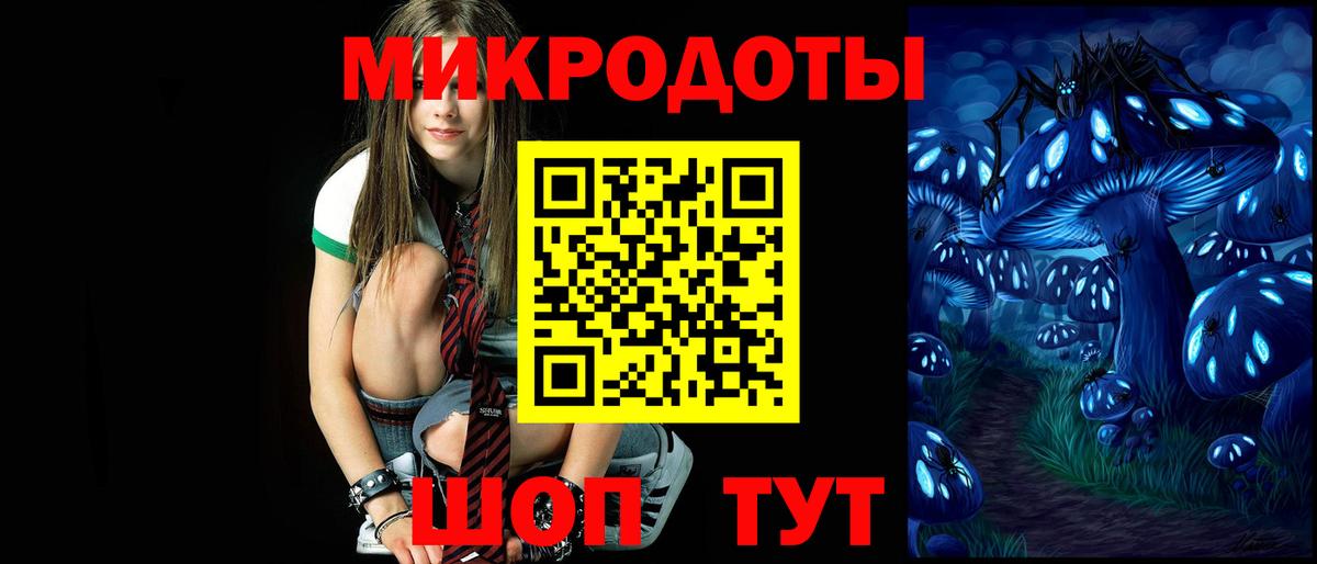 Лсд 25 Шебекино