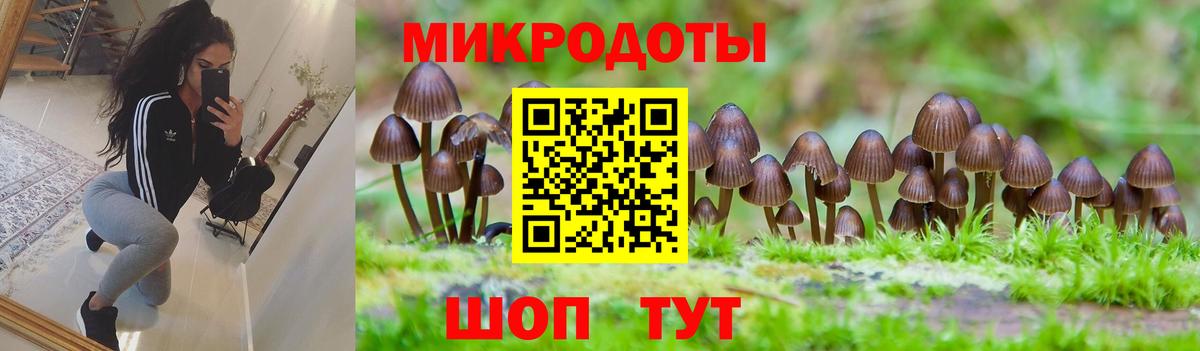Псилоцибиновые грибы Magic Shrooms Шебекино